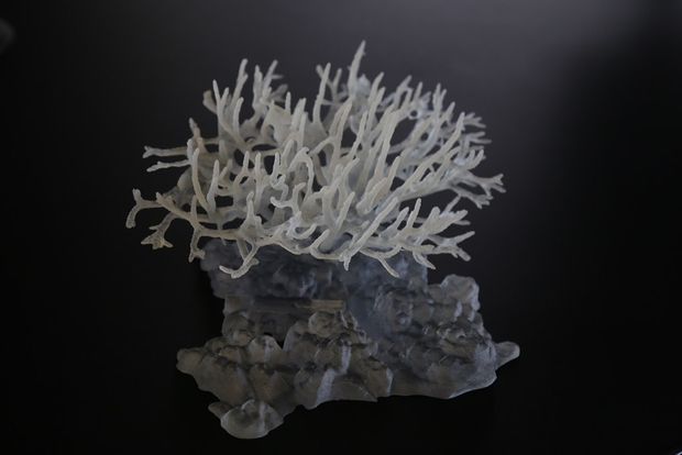 How to Save Coral Reefs Using 3D Design and Printing - Tinkercad