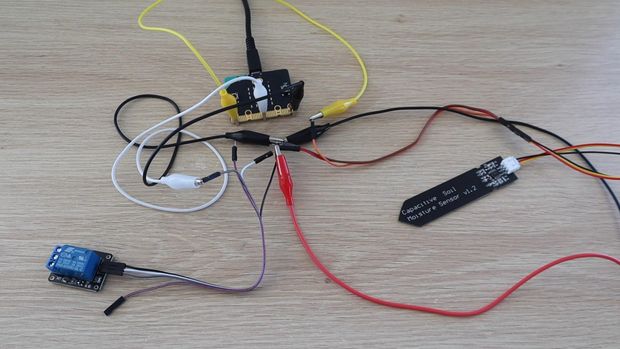 Micro Bit Pump Automatic Plant Watering System Using a Micro:bit - Tinkercad