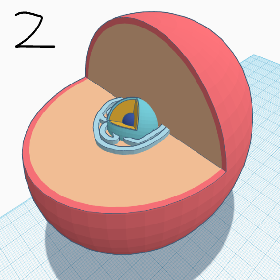 Parts of an Animal Cell Tinkercad