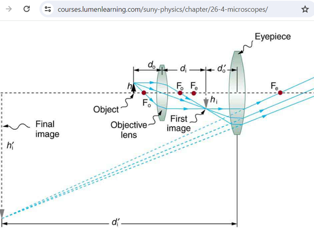 Pointer In Microscope