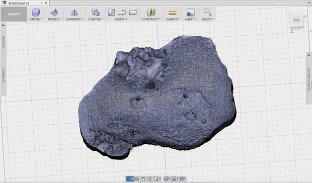 How to Save Coral Reefs Using 3D Design and Printing - Tinkercad